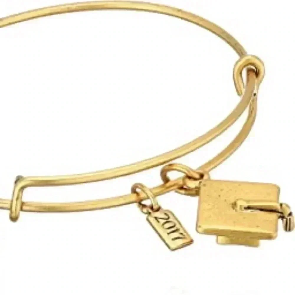 Alex and Ani new tags